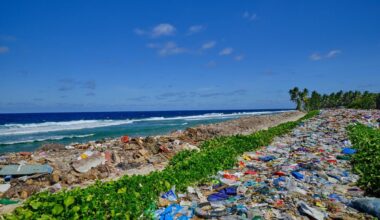 WHO highlights health risks and opportunities in the global waste crisis