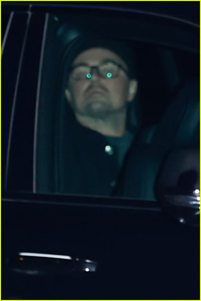 Timothee Chalamet birthday party guests images