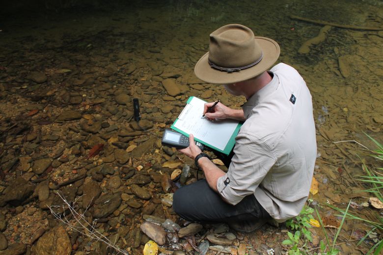 Researchers examine the water for clues about what the fish eats.