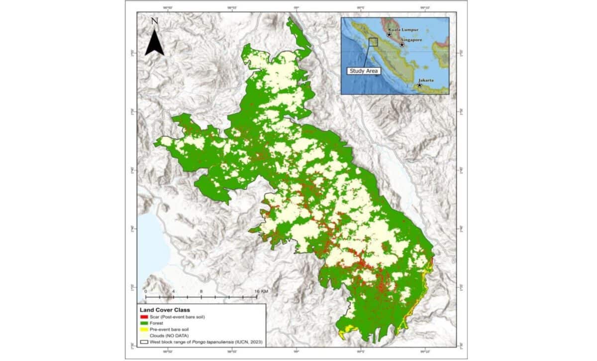 Map Of Scars (post Event). Green = Forest, Red = Bare Soil Indicating Flooding And Landslides, White = Cloud (no Data). The Delineated Area Is The Boundary Of The West Block Tapanuli Orangutan Pop