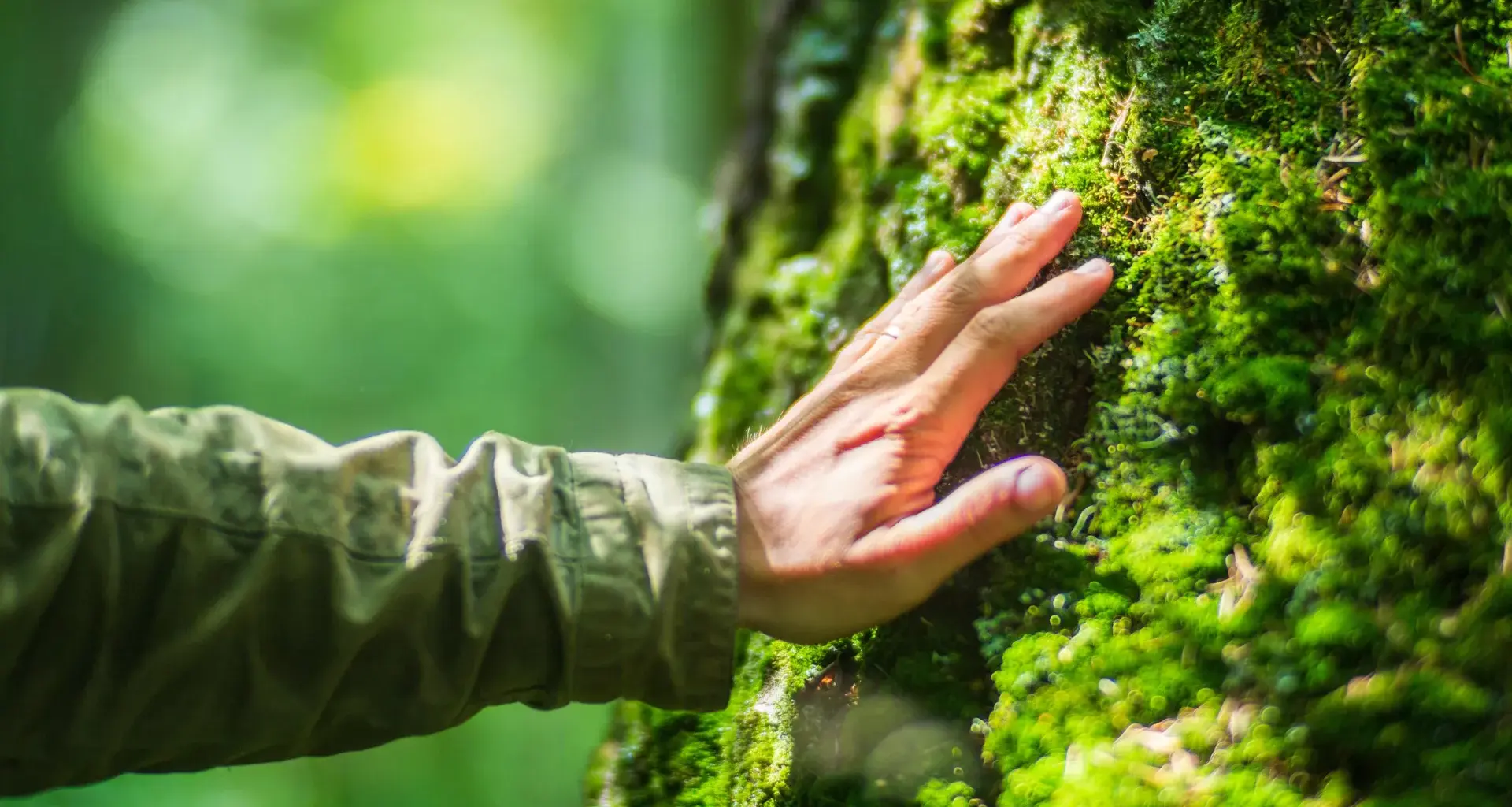 Humans are built for nature not modern life