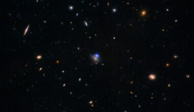 Luminous Fast Blue Optical Transients Are Likely Large Black Holes Shredding Their Massive Companions