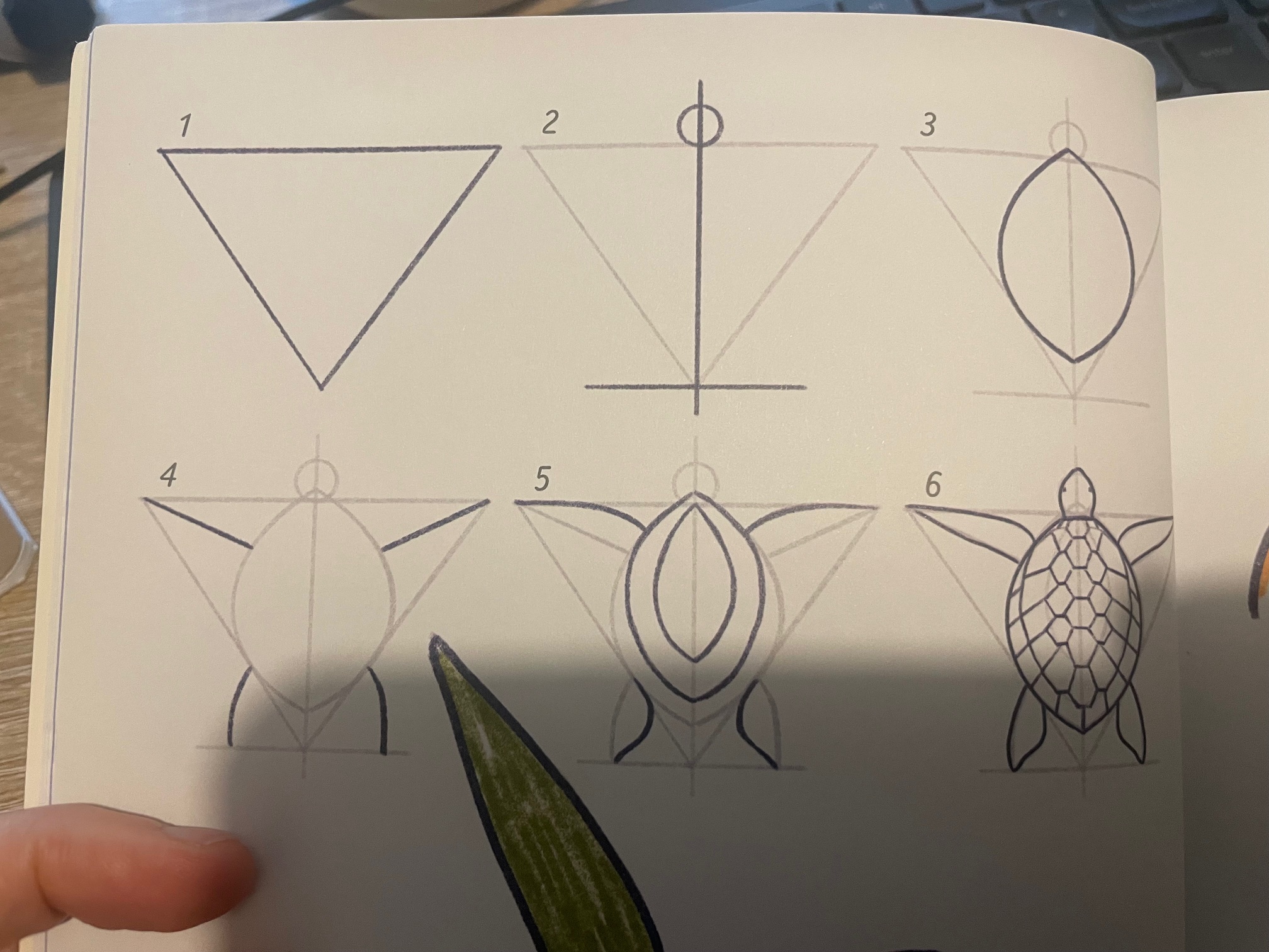 shapes of a turtle in book Simply Draw