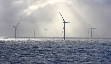 Average Wind Turbine Hits Only One Dozen Birds Per Year