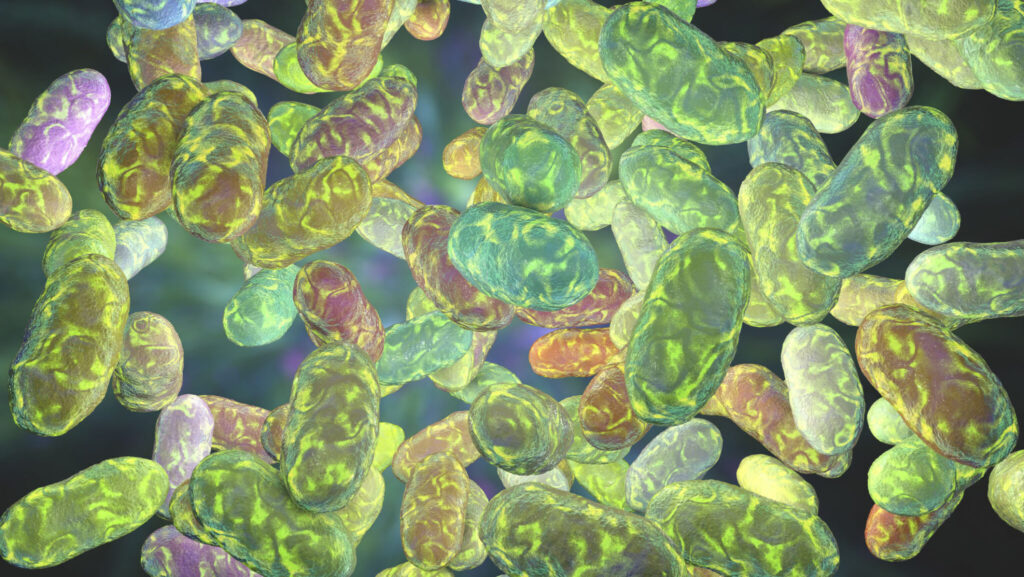 Bacterial communication — known as quorum sensing — allows microbes to detect their population density and coordinate community behaviour. (iStock)