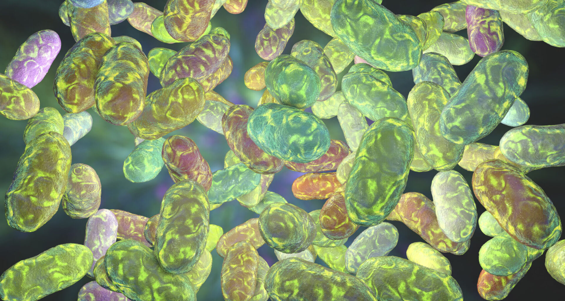 Bacterial communication — known as quorum sensing — allows microbes to detect their population density and coordinate community behaviour. (iStock)