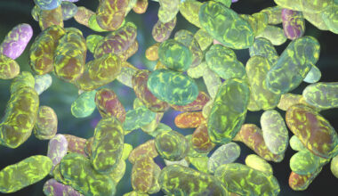 Bacterial communication — known as quorum sensing — allows microbes to detect their population density and coordinate community behaviour. (iStock)