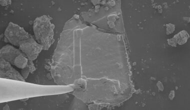 2025 in Review: Highlights from NASA in Silicon Valley 