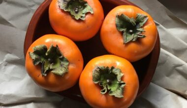India can’t get enough of persimmon this winter. What’s behind the hype?