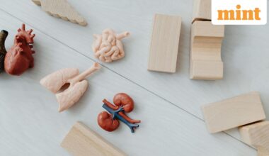 Experts suggest that including a few servings of these superfoods across the day is enough to make a meaningful difference.