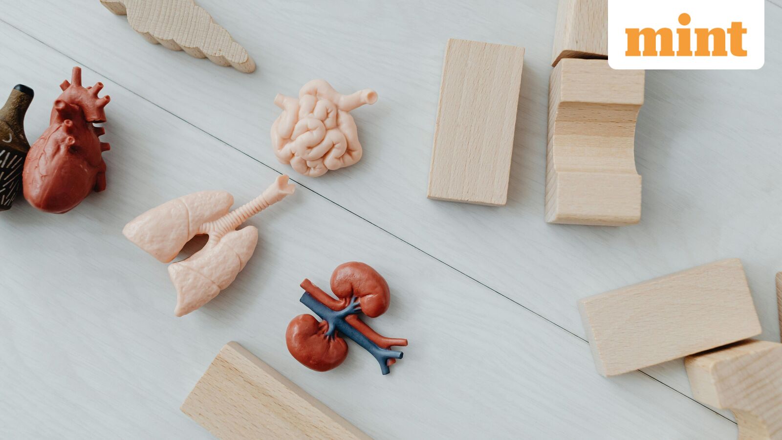 Experts suggest that including a few servings of these superfoods across the day is enough to make a meaningful difference.