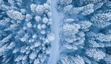 Alberta clipper set to hit N.S. on Monday with snow, gusty winds » The Laker News