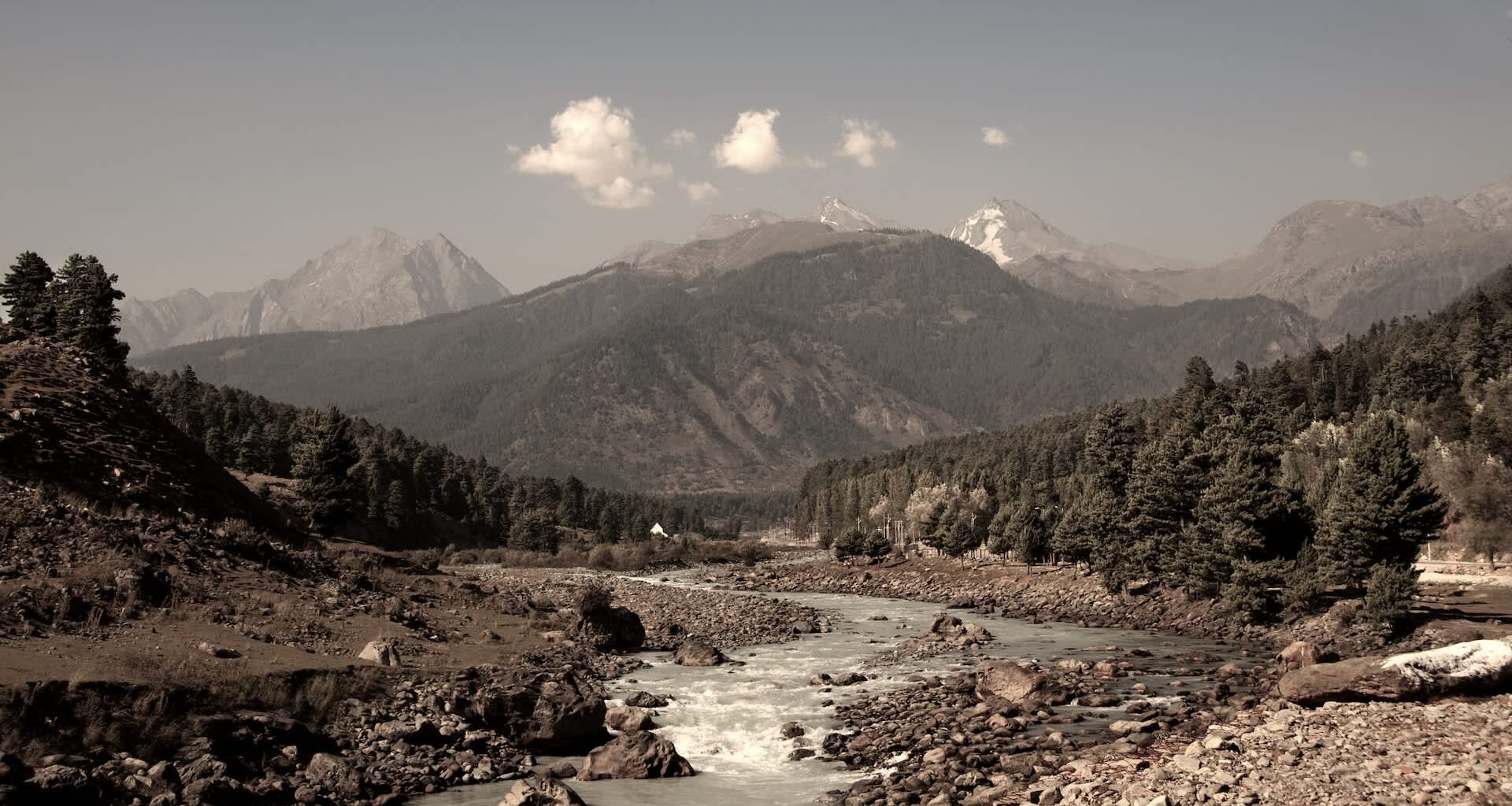 Villagers first spotted the huge bear struggling in a northern Indian stream and called for help.