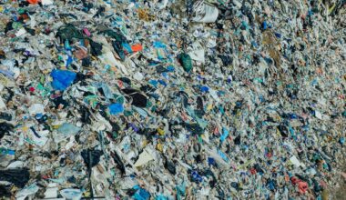Researchers at Tokyo Metropolitan University have developed a process to recycle plastic using an iron catalyst and alcohol.