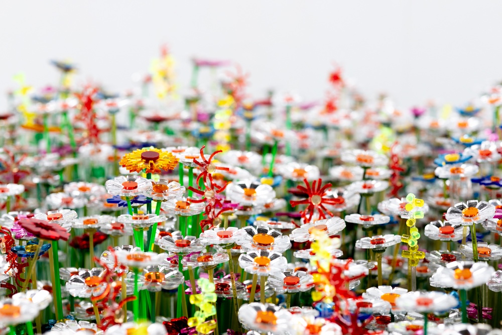 Reflecting Diverseness by studio mo man tai