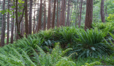 Scientists Unearth New Species With Long, Sharp Spines In Colombia