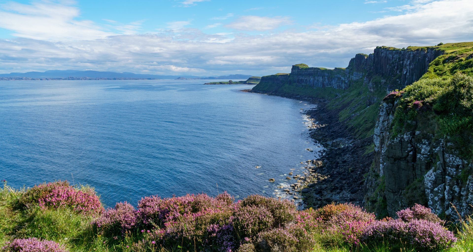 See how this U.K.-based group has achieved the most successful seagrass restoration project to date.