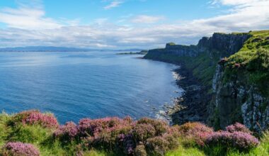 See how this U.K.-based group has achieved the most successful seagrass restoration project to date.