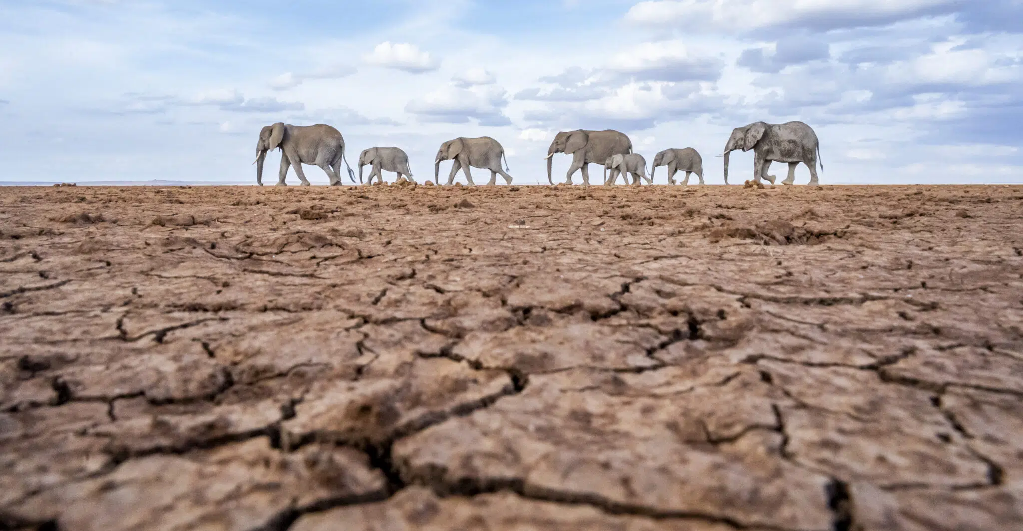 Photograph featured in Shem Compion’s new book, “The Rift,” now available for purchase