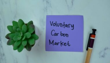 Top Forecasts and What They Mean for Investors • Carbon Credits