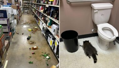 Pics: Hanover County Animal Protection and Shelter