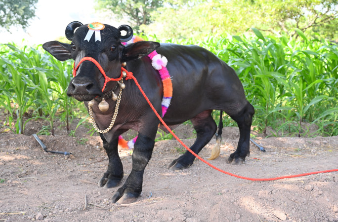 Radha looking up at the camera