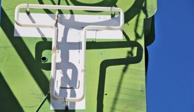 T cell insight may boost cancer immunotherapies