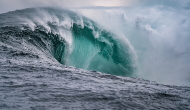 The Ocean Off Panama Just Shut Down A Vital System