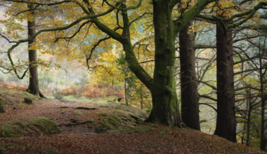 Micro Moves That Make a Landscape Photo Click