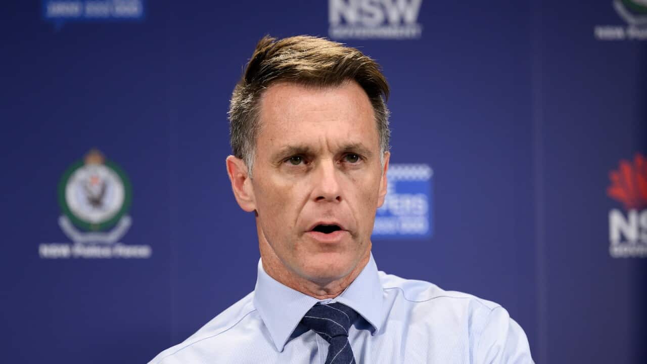 Chris Minns in a blue shirt standing against a blue wall.