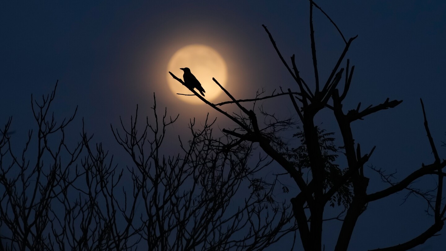 Photos show the last supermoon of the year shining in December skies