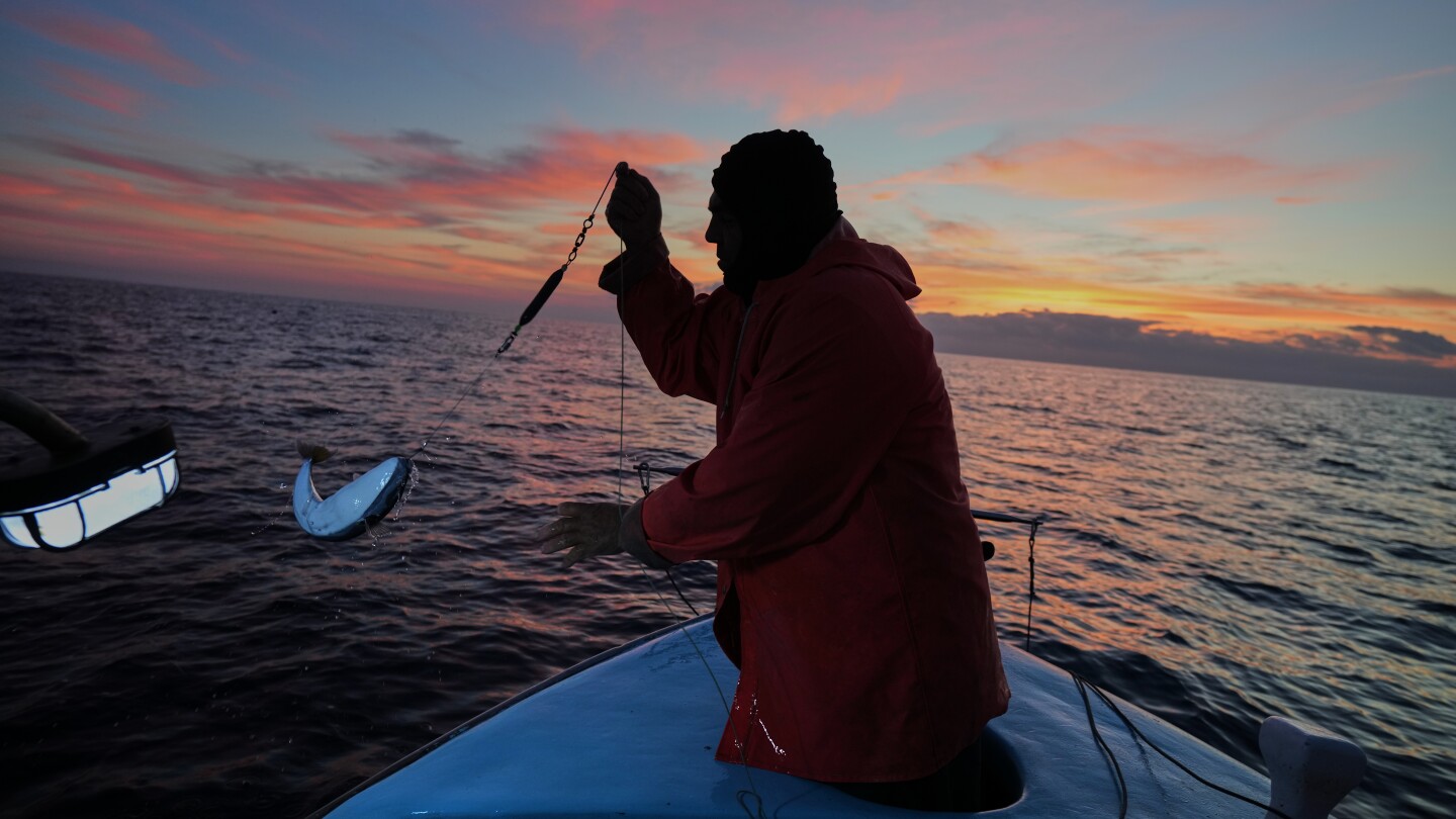 Cypriot fishermen battle invasive lionfish and turn them into a tavern delicacy