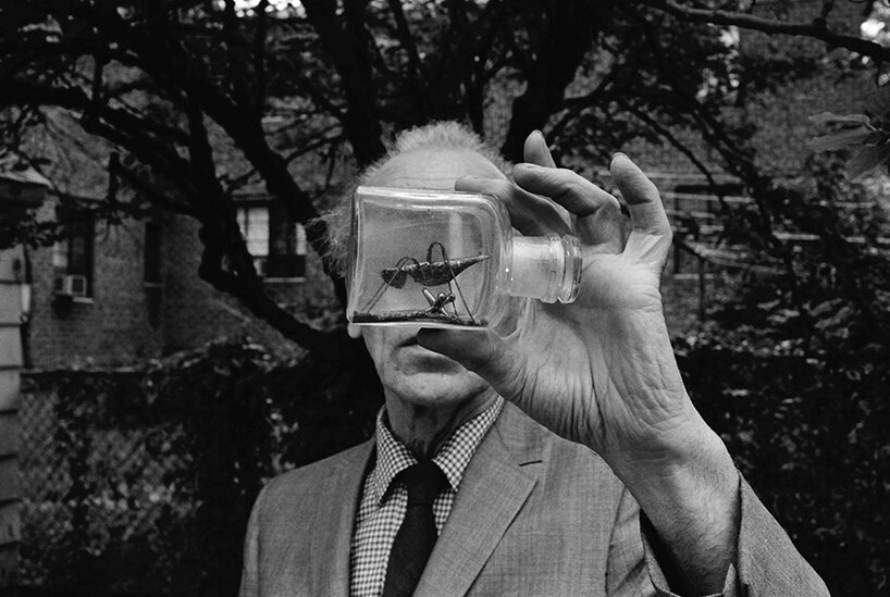 wes anderson rebuilds joseph cornell's legendary studio inside gagosian paris