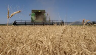 Israel and US sign agriculture trade agreement to clinch concessions on Trump tariffs