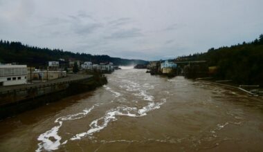 Après le Déluge, un Autre Déluge: a Photo Essay - CounterPunch.org