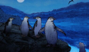 Some animals have evolved extreme ways to sleep in precarious environments