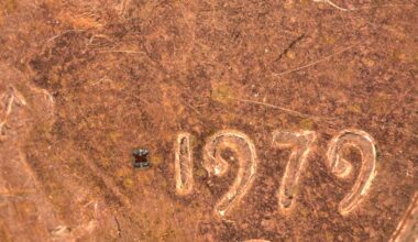 These are the world's smallest programmable robots