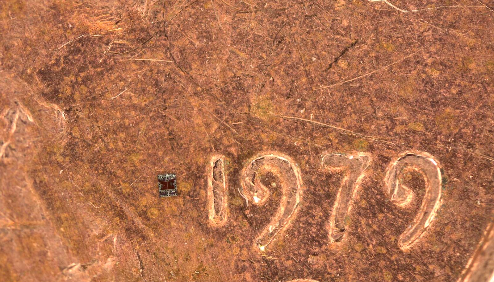 These are the world's smallest programmable robots