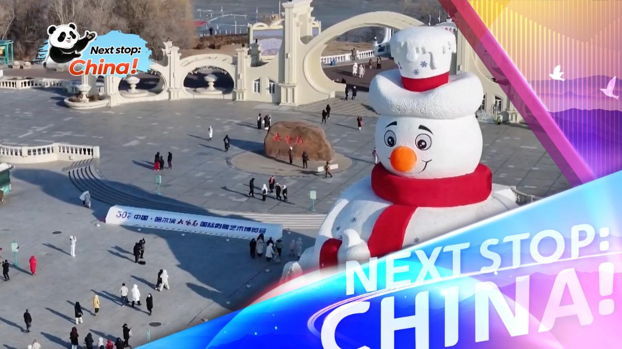 Annual snow sculpture art expo to kick off soon in Harbin - news.cgtn.com