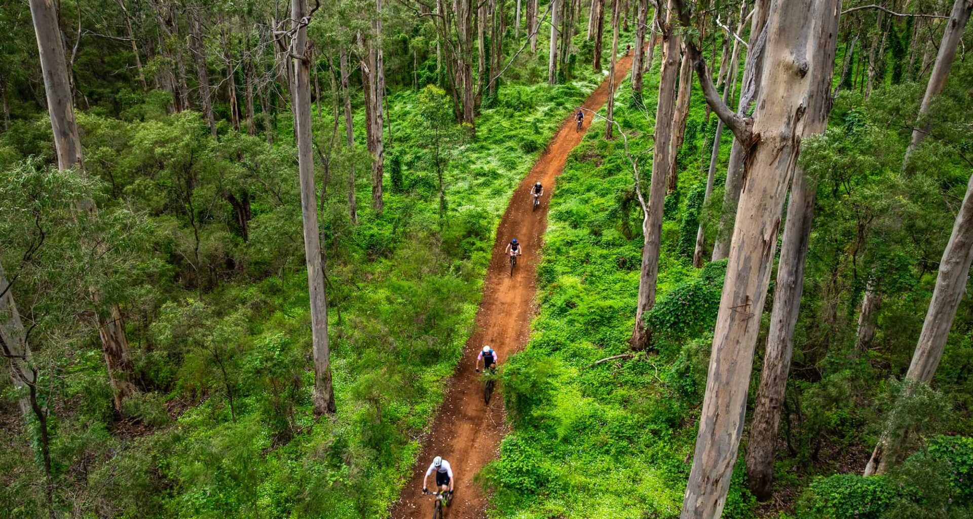 Mark Gunter Photo Awards 2025: Week one showcase