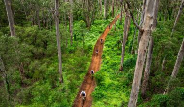 Mark Gunter Photo Awards 2025: Week one showcase