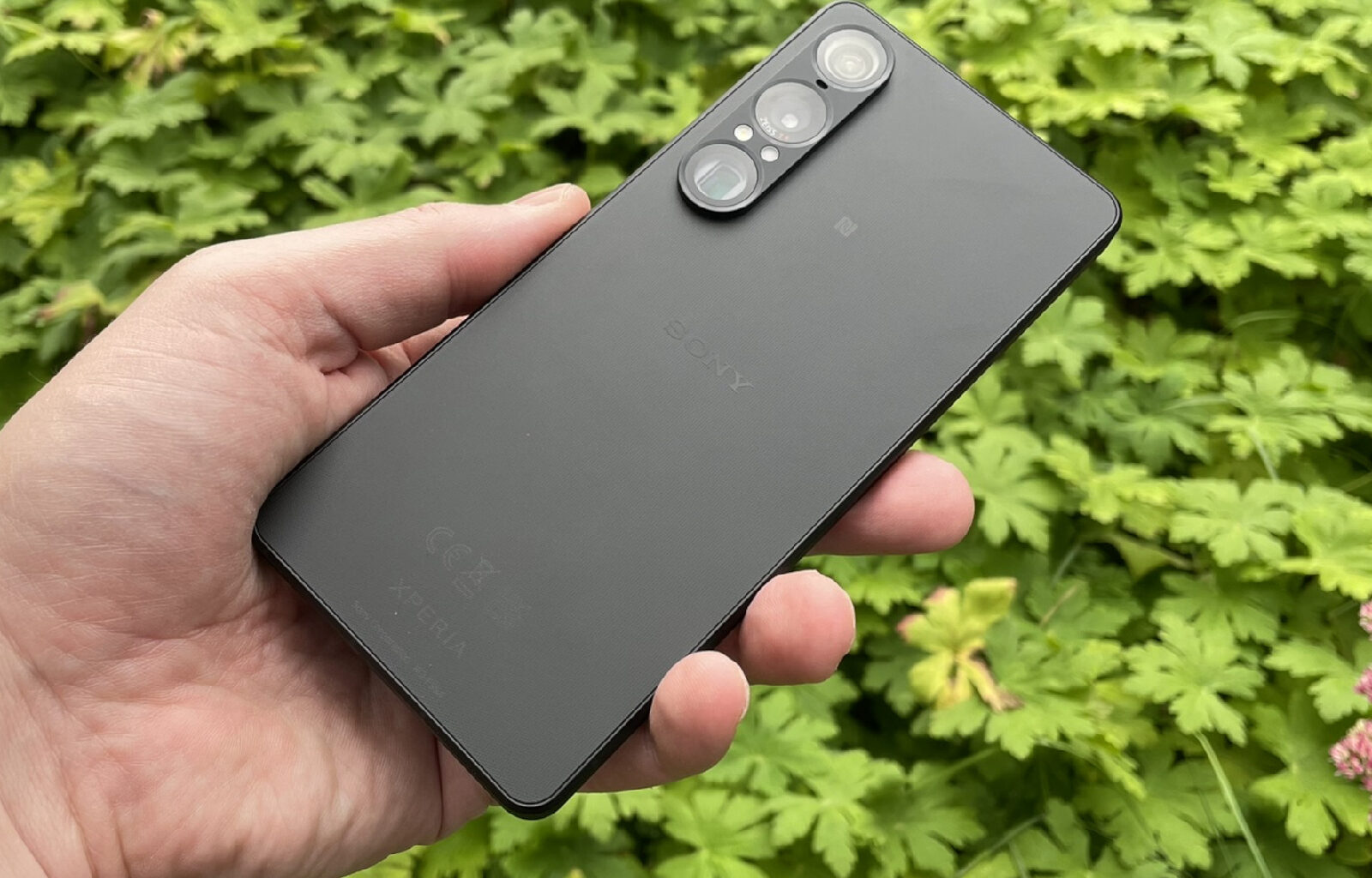 Sony Xperia 1 VIII and Xperia 10 VIII reveal themselves with extent of international releases hinted