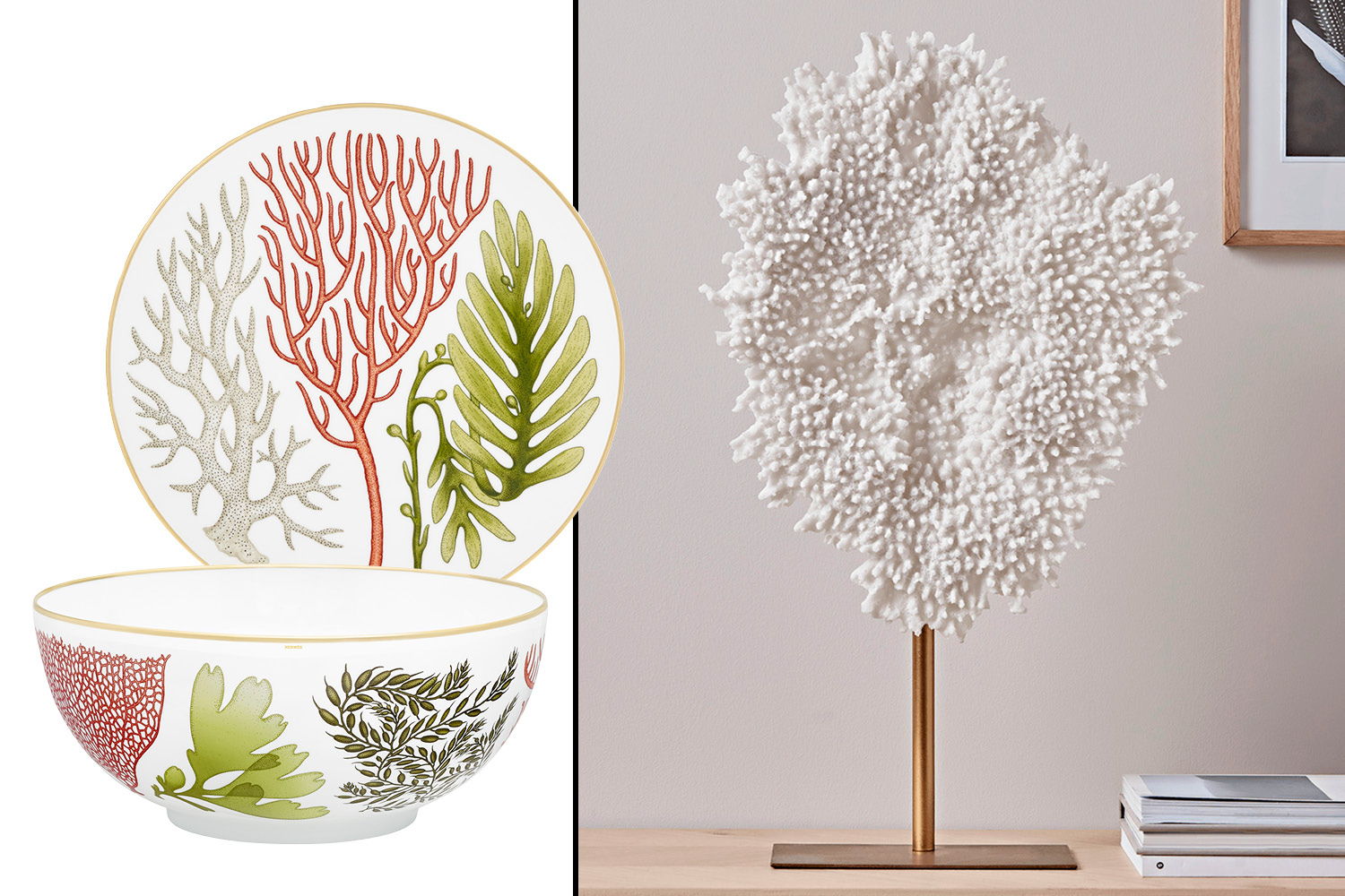 A plate and a bowl with coral illustrations on the left and a white coral sculpture on the right.
