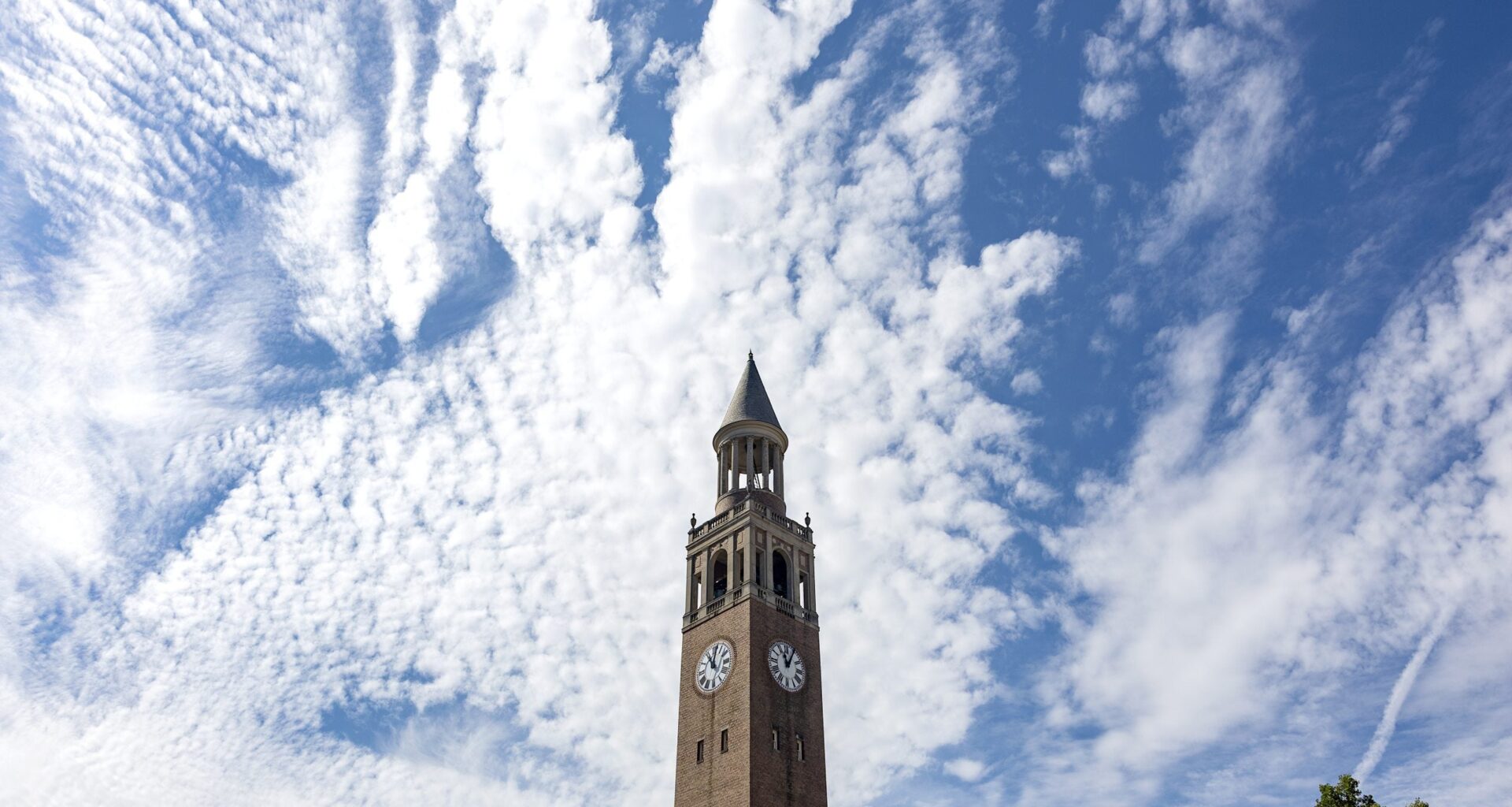 Carolina experts are focusing on these trends in 2026