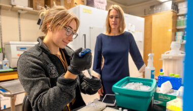 Vitamin B12 clues offer hope for new therapies