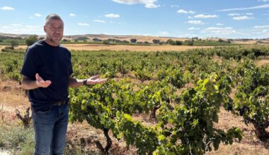 Spain’s dynamic wineries: tradition and avant-garde innovation
