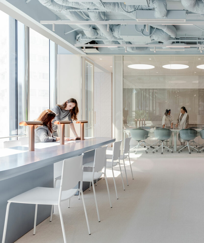 Two women work at a long table near large windows in a modern office space, while others meet in a glass-walled conference room in the background.