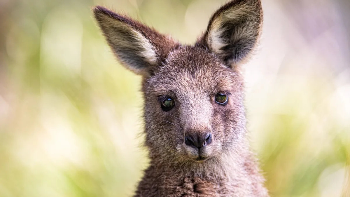 Yahoo lifestyle home