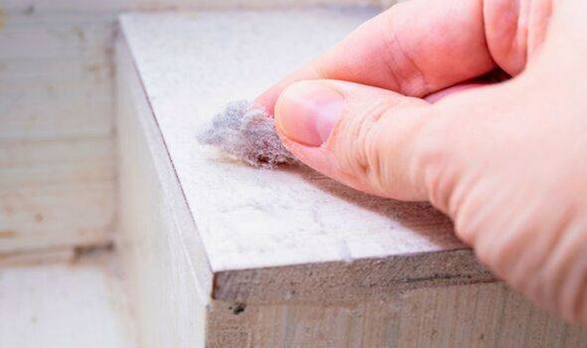 Picture someone sealing a gap with steel wool