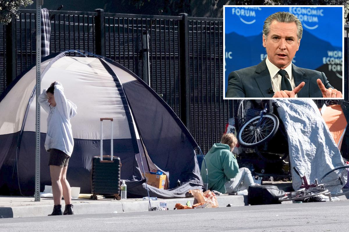 Gavin Newsom shoots down claim $236M program for California's mentally ill has helped just 22 people in four years
